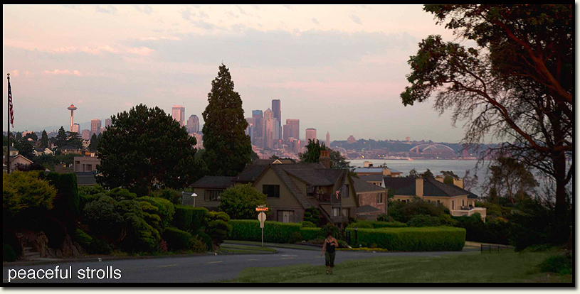 View of Seattle from the Magnolia Bluffs